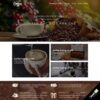 Thiết kế website cửa hàng bán cafe bột, đại lý bán cafe - WebKit 10011